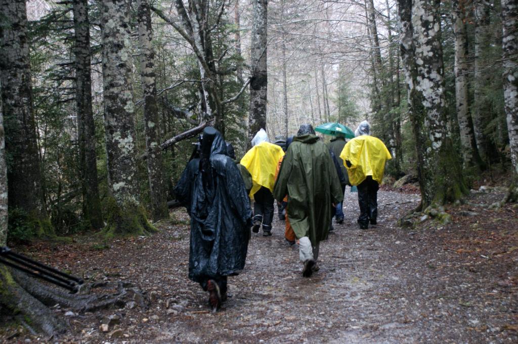 Ordesa in de regen